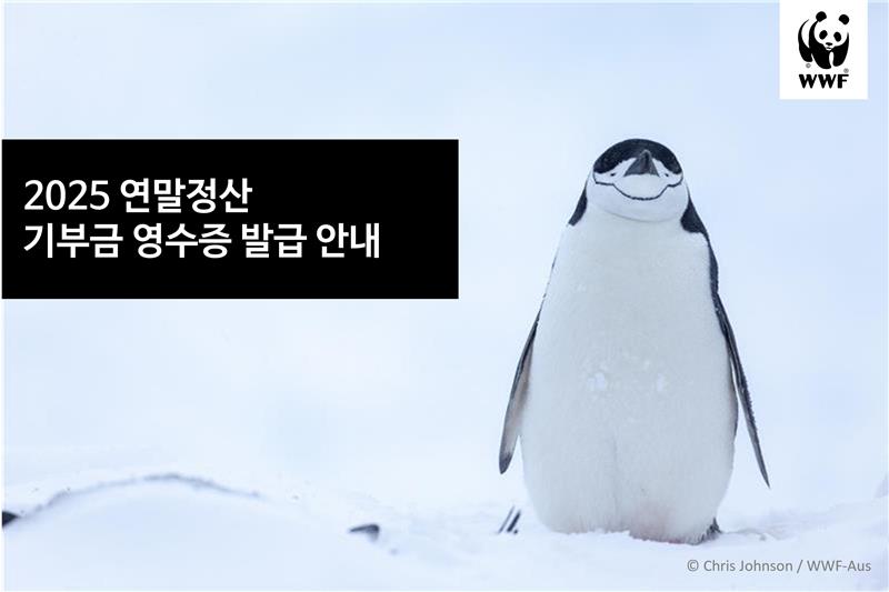 ab6dae6454ffab0464af6b7c10c36edb_1766120091_0573.png ab6dae6454ffab0464af6b7c10c36edb_1766120091_0573.png