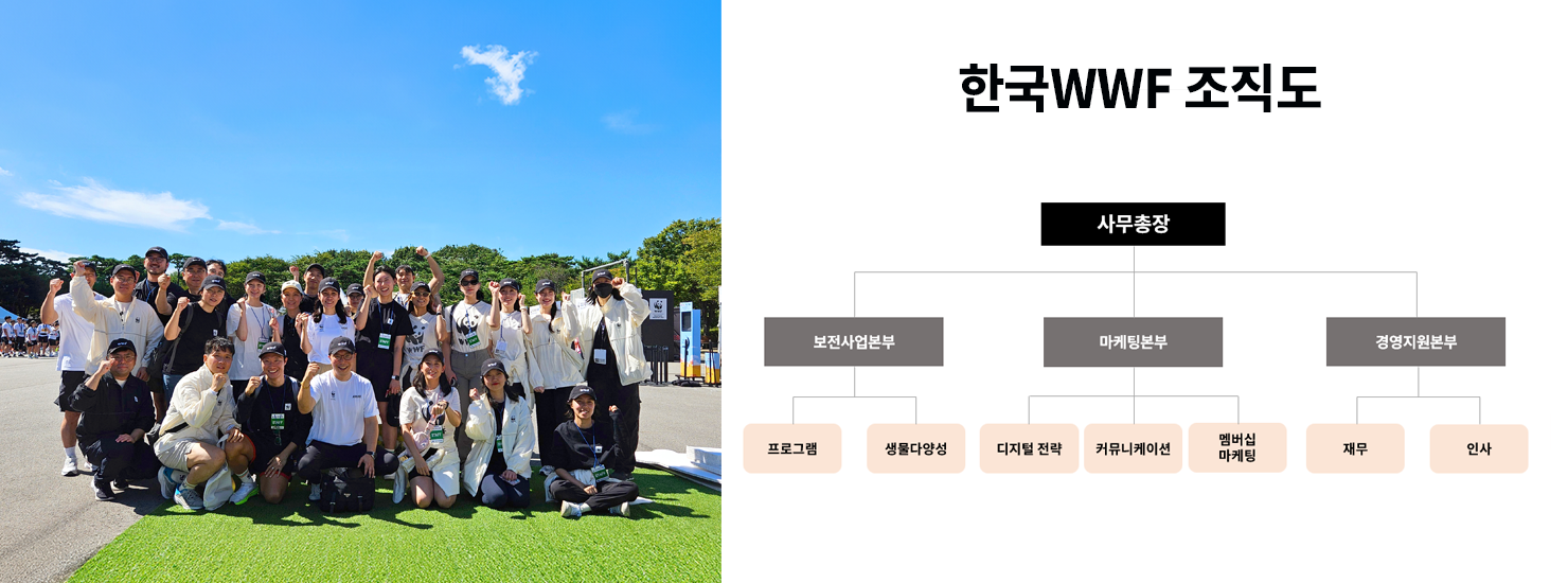 wwf 직원들 사진