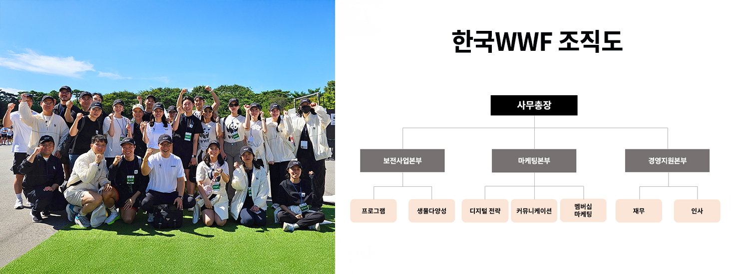wwf 직원들 사진