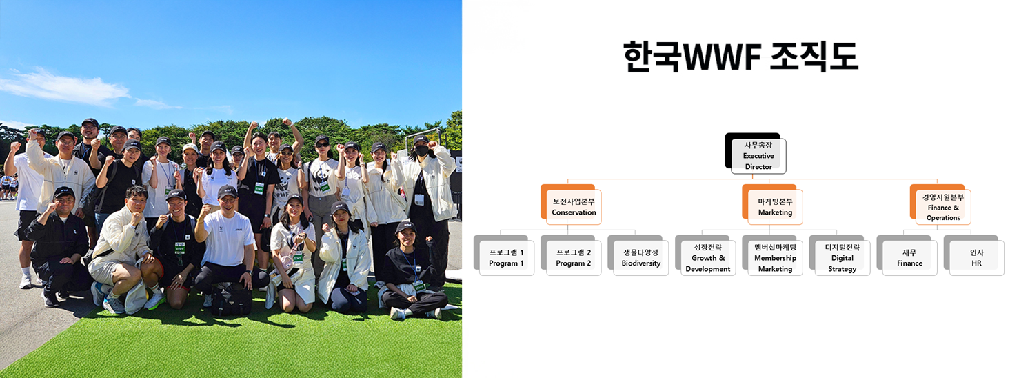 wwf 직원들 사진