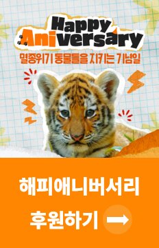 배너