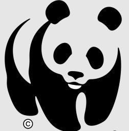 Preview image published by wwfkorea.or.kr